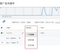 Google Ads提升广告效果秘籍：深入剖析广泛匹配