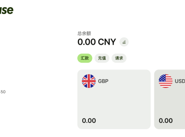 Wise入金激活教程